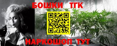 крисы Беслан
