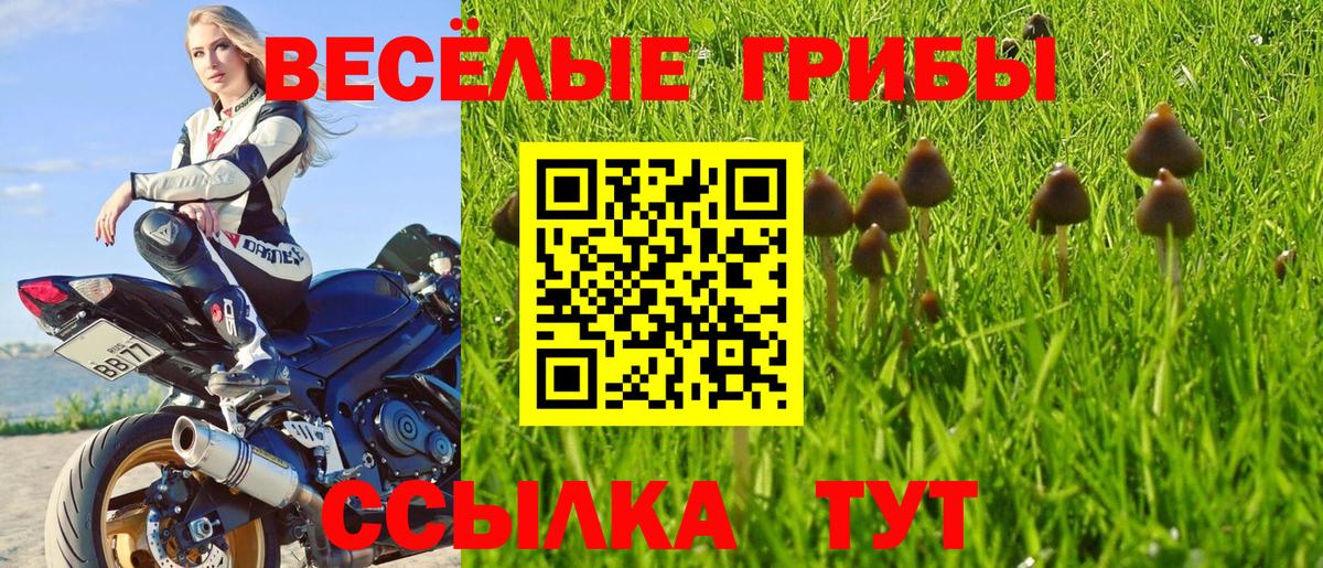 Галлюциногенные грибы Magic Shrooms  Вход с VPN  Клин 