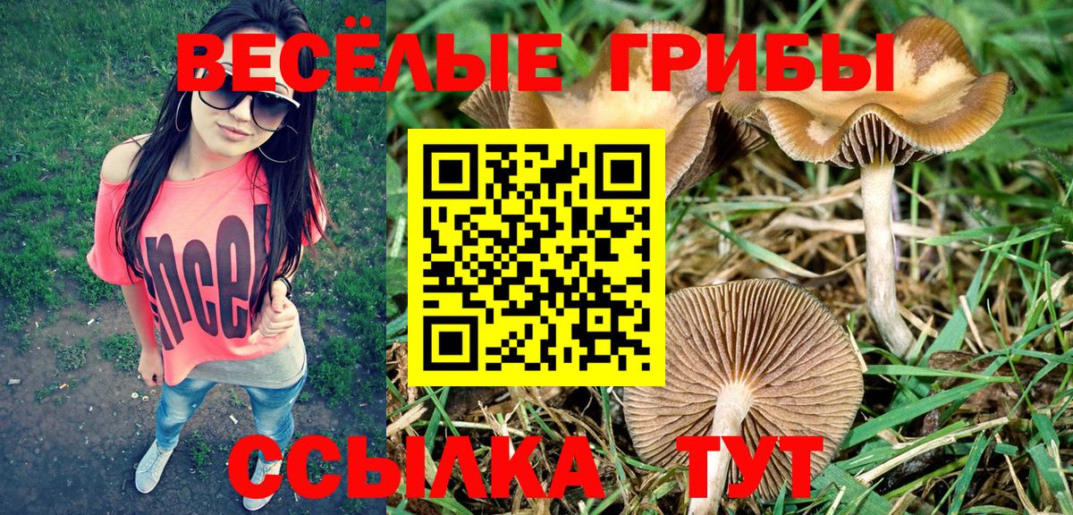 Псилоцибиновые грибы мухоморы Клин