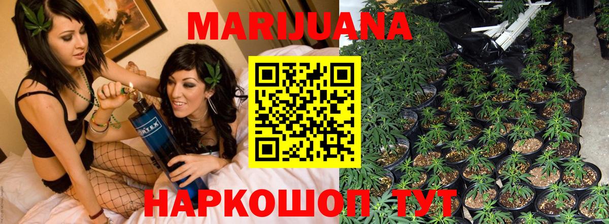 Конопля ГИДРОПОН  Вход с VPN  Клин  Шишки марихуана сатива  Марихуана ГИДРОПОН 